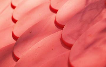 Partney plastic roof costs